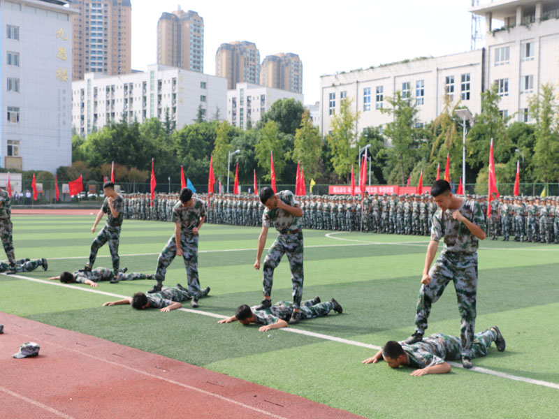 格斗表演 格斗表演